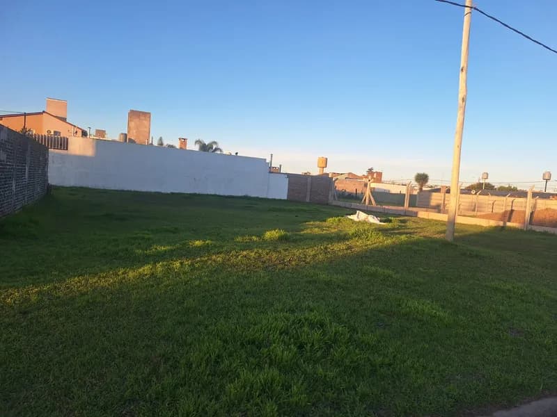 Lote Moreno